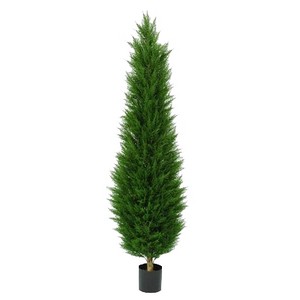 фото Туя вытянутая 140 см