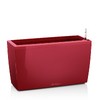 фото Cararo Complete scarlet red high gloss