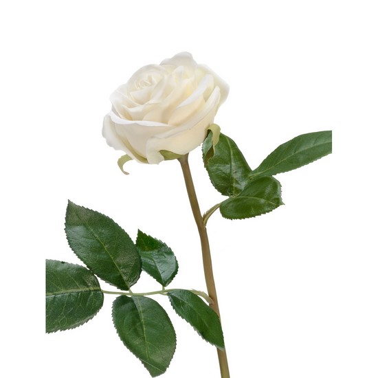 фото Роза Флоринбунда Мидл 1 цветок D 8см, белая, 34 см