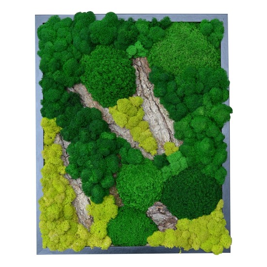 фото Фитопанно из стабилизированного мха 50*40 см