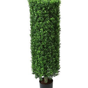 фото Самшит цилиндр 110 см