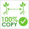100 процентные копии